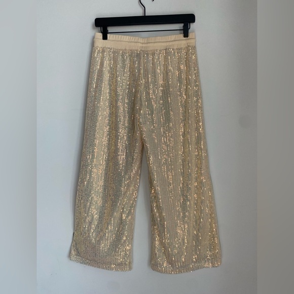 Gorgeous Iridescent Sequin Pants Wide Leg Relaxed Fit Cropped Style Size Medium - Picture 1 of 9